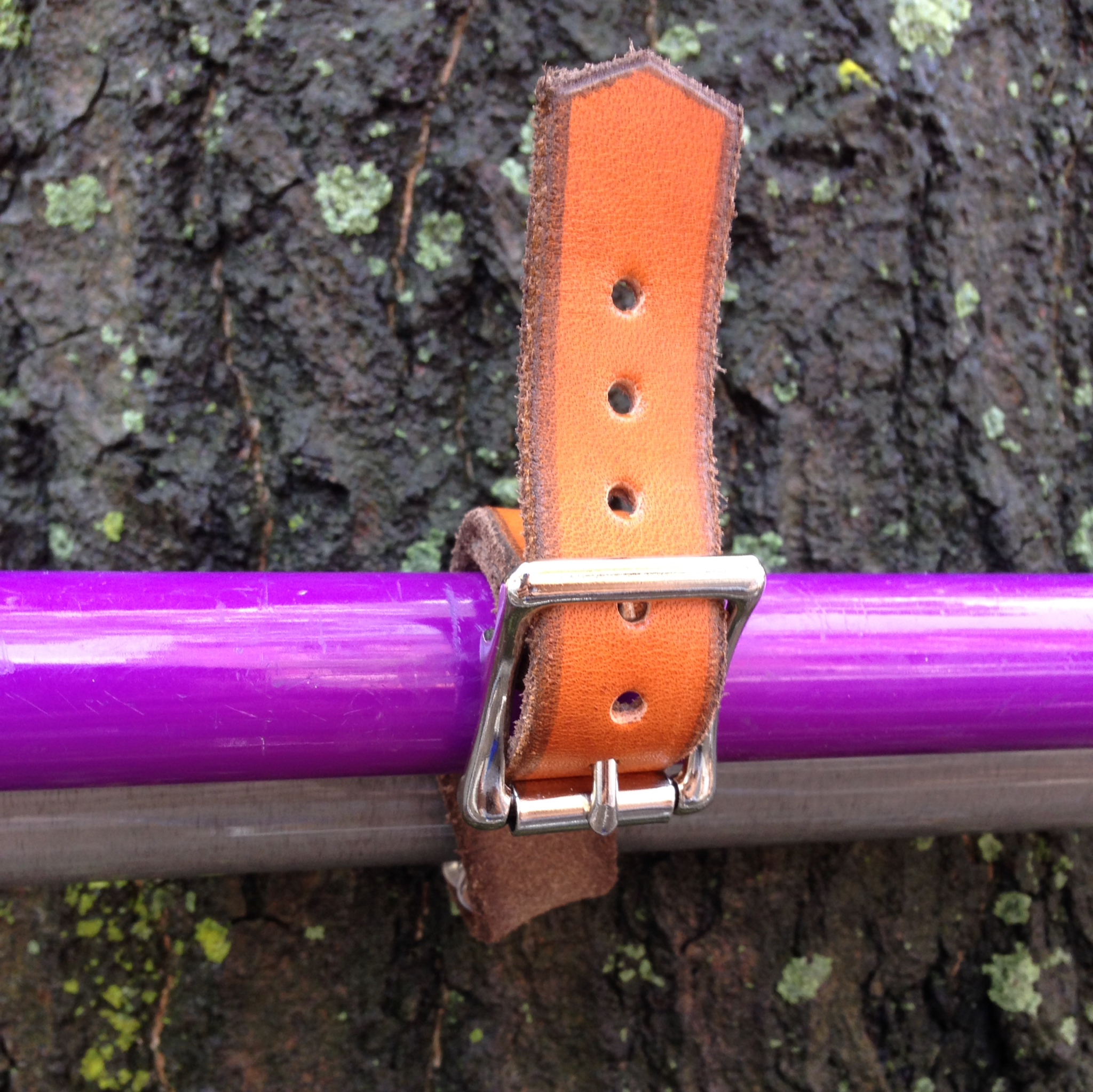 A close up of the honey-colored leather and metal buckle that attaches the purple cane to the bike.